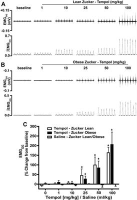 Systemic Administration of Tempol, a Superoxide Dismutase Mimetic, Augments Upper Airway Muscle Activity in Obese Zucker Rats